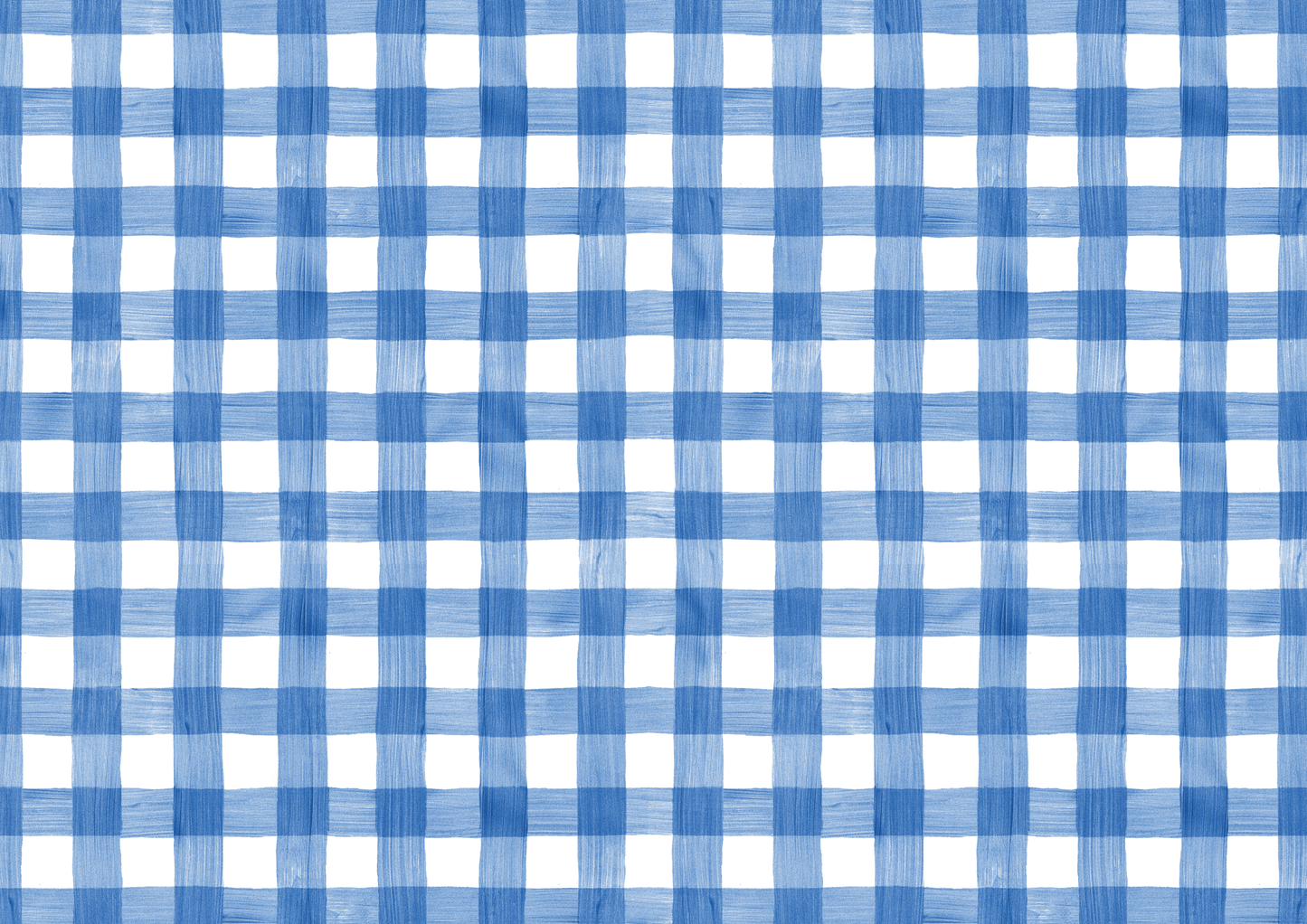 Blue Gingham Placemats