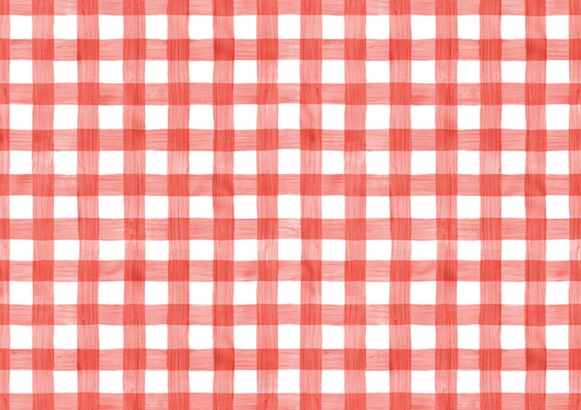 Red Gingham Placemats