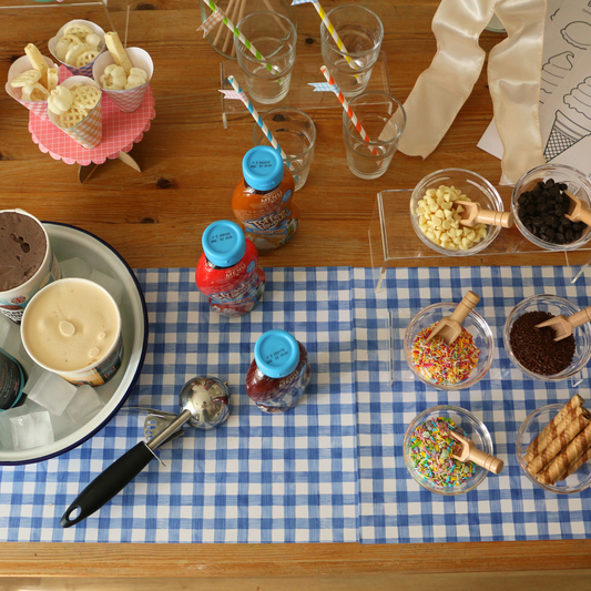 Blue Gingham Placemats
