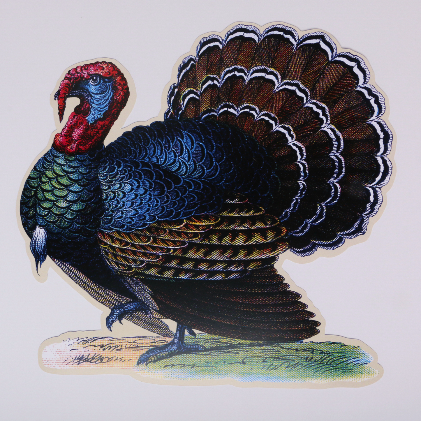 Christmas Turkey Placemats