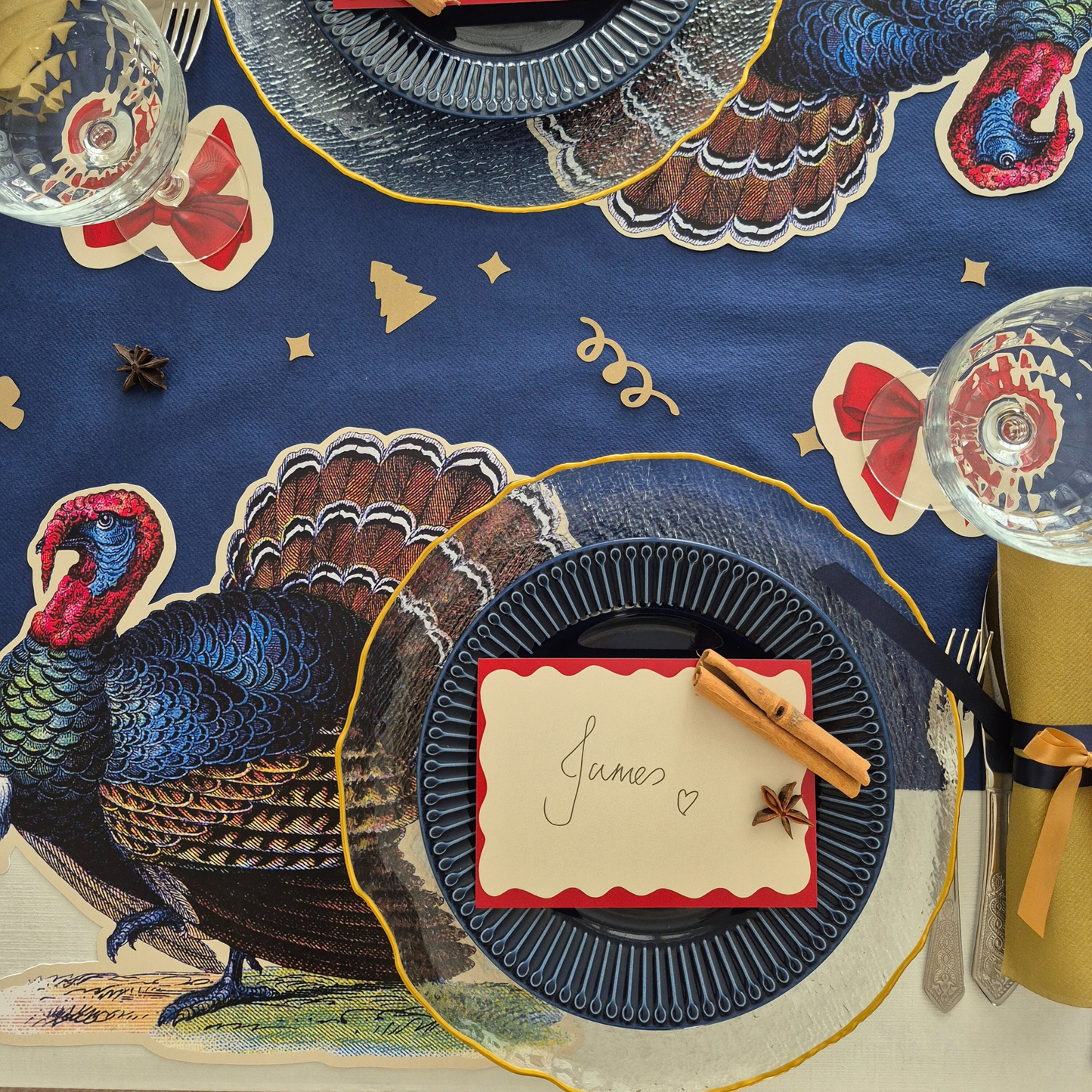 Christmas Turkey Placemats