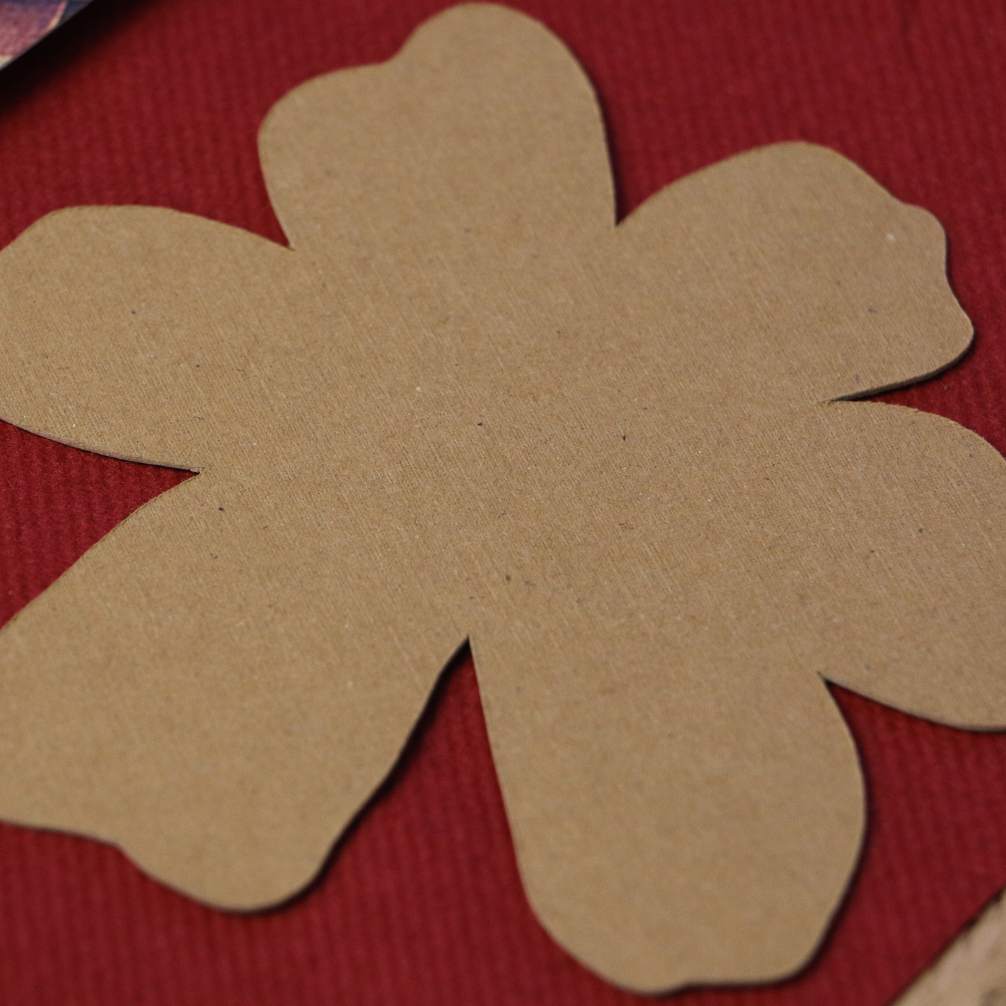 Organic Flower Coasters