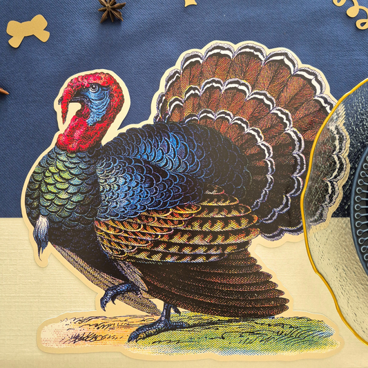 Christmas Turkey Placemats